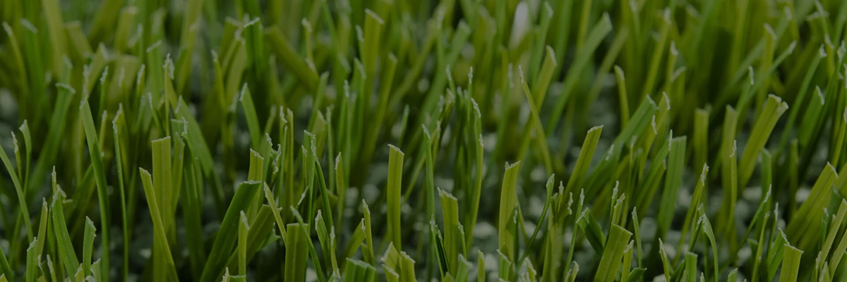 close up image of an artificial turf